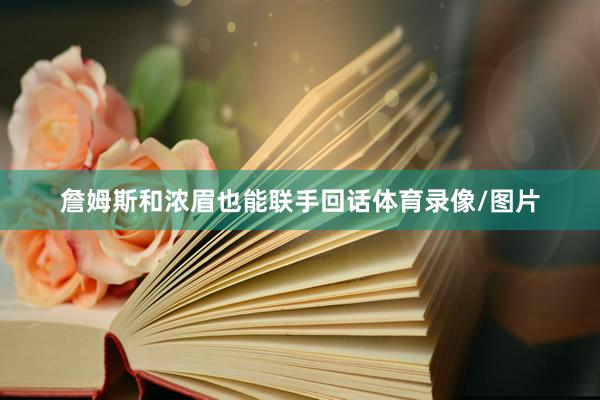 詹姆斯和浓眉也能联手回话体育录像/图片