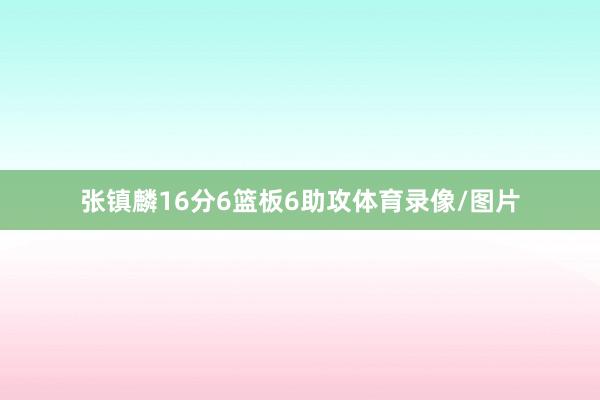 张镇麟16分6篮板6助攻体育录像/图片