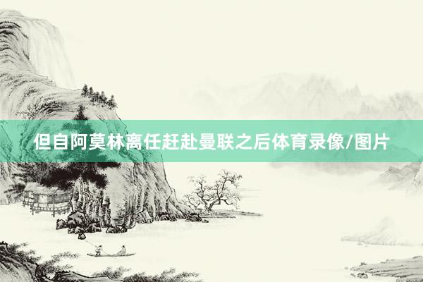 但自阿莫林离任赶赴曼联之后体育录像/图片