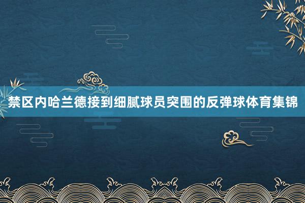 禁区内哈兰德接到细腻球员突围的反弹球体育集锦