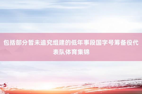 包括部分暂未追究组建的低年事段国字号筹备役代表队体育集锦
