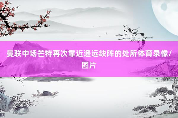 曼联中场芒特再次靠近遥远缺阵的处所体育录像/图片