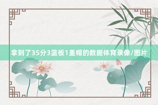 拿到了35分3篮板1盖帽的数据体育录像/图片