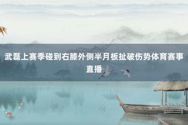 武磊上赛季碰到右膝外侧半月板扯破伤势体育赛事直播