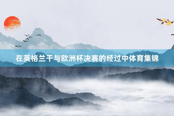在英格兰干与欧洲杯决赛的经过中体育集锦