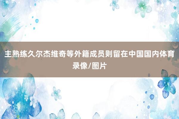 主熟练久尔杰维奇等外籍成员则留在中国国内体育录像/图片