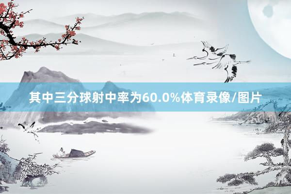 其中三分球射中率为60.0%体育录像/图片