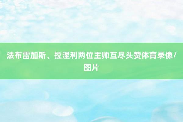 法布雷加斯、拉涅利两位主帅互尽头赞体育录像/图片