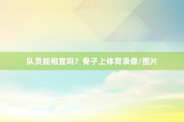队员能相宜吗?骨子上体育录像/图片