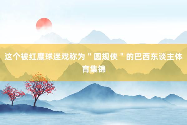 这个被红魔球迷戏称为"圆规侠"的巴西东谈主体育集锦