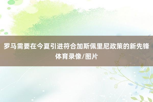 罗马需要在今夏引进符合加斯佩里尼政策的新先锋体育录像/图片