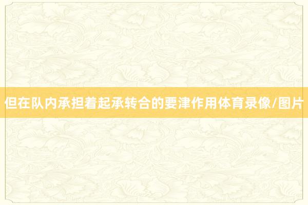 但在队内承担着起承转合的要津作用体育录像/图片