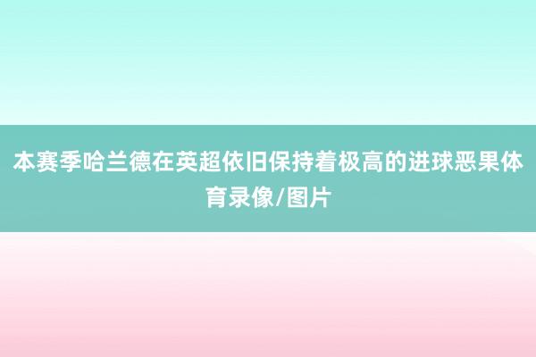 本赛季哈兰德在英超依旧保持着极高的进球恶果体育录像/图片