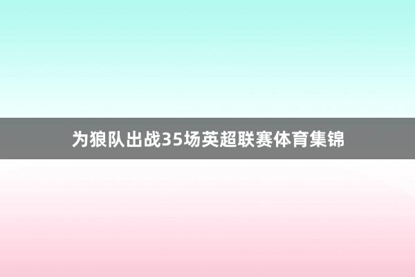 为狼队出战35场英超联赛体育集锦
